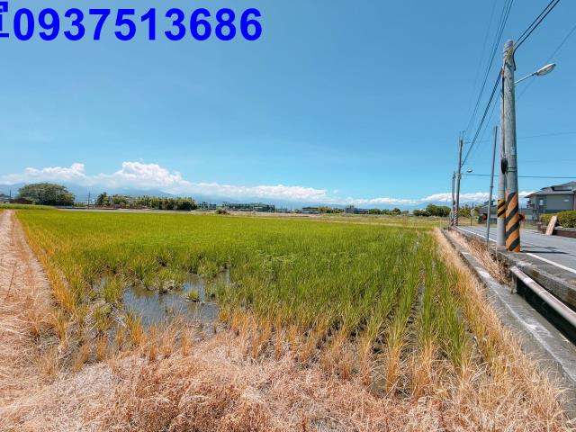 宜蘭農地-8