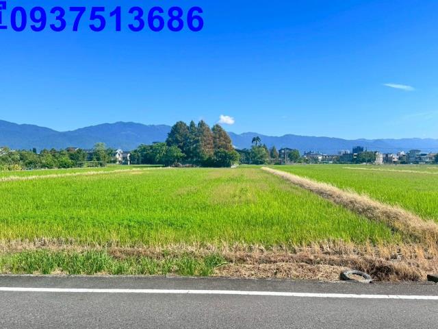 宜蘭農地-10
