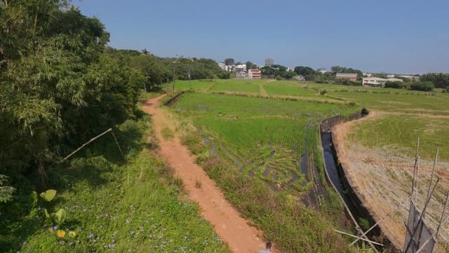 桃園楊梅農地-4