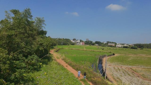 桃園楊梅農地-5