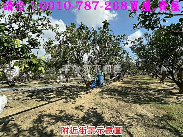 台南麻豆農地-13