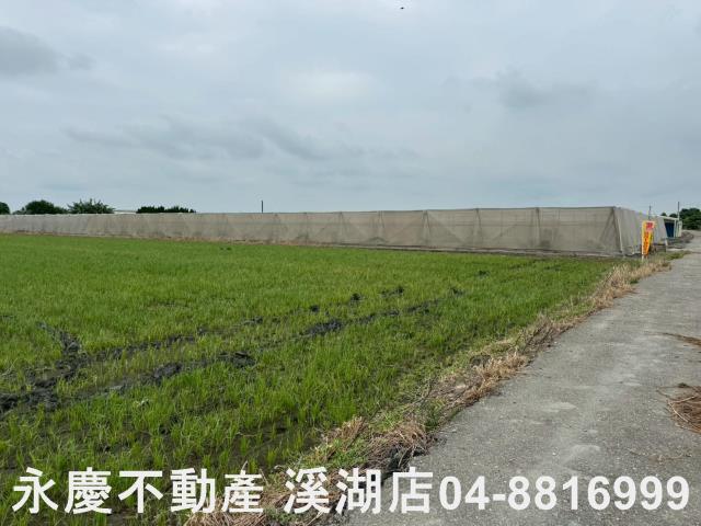 大城農地-1