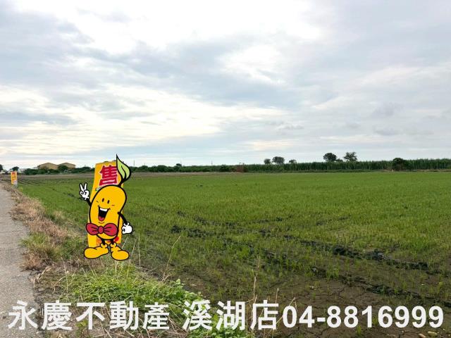 大城農地-3