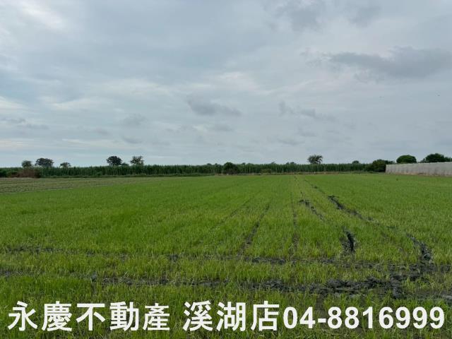 大城農地-4