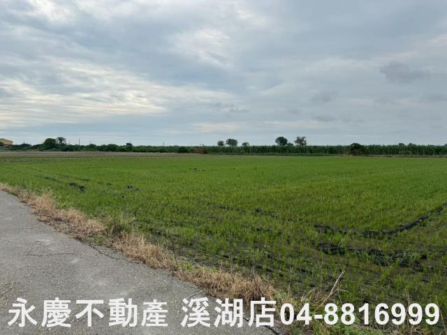 大城農地-6