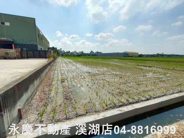 花壇農地-3