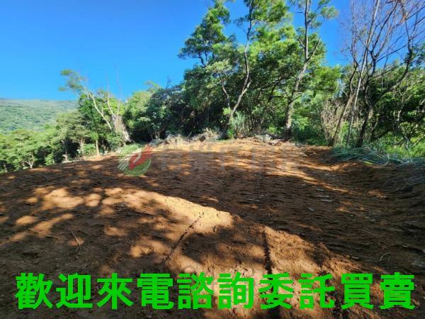 新北三芝農地-3