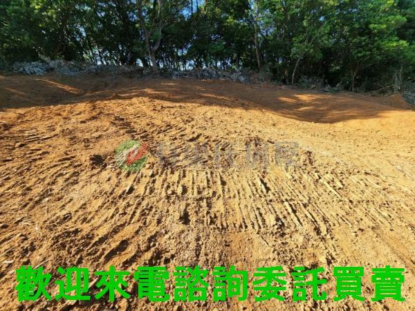 新北三芝農地-4