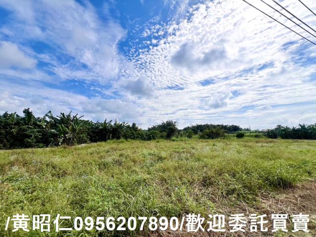 左鎮農地-3