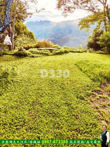 南投國姓農地-12