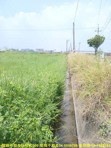 彰化花壇農地-14
