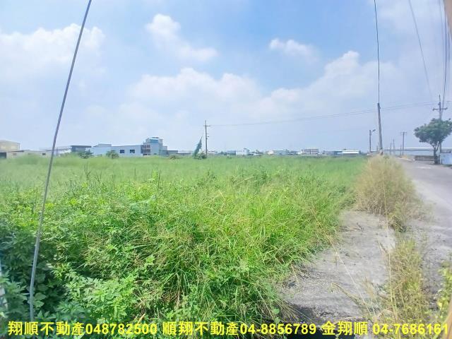 彰化花壇農地-9