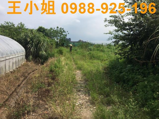 桃園桃園區農地-3
