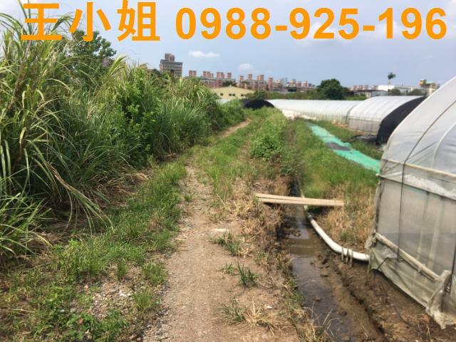 桃園桃園區農地-4