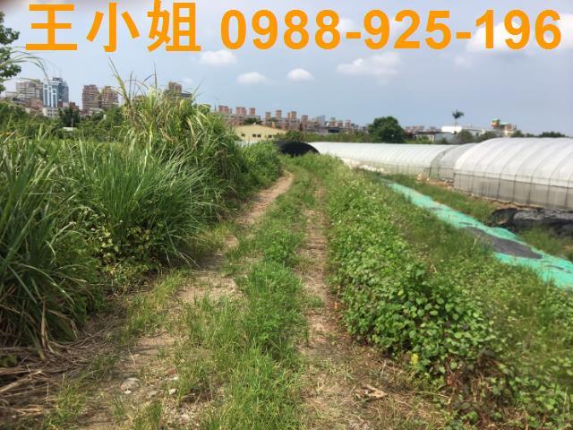 桃園桃園區農地-5