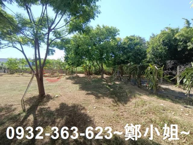 桃園農地-12