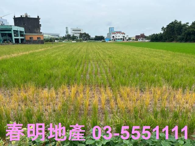 新竹竹北農地-1