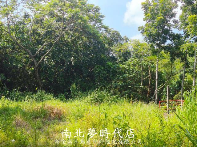 台南龍崎農地-6