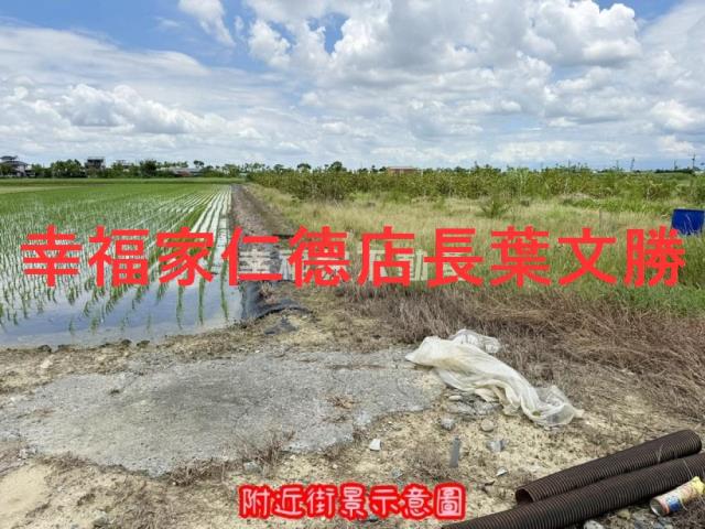 台南柳營農地-8
