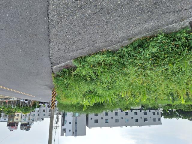 下營建地-1