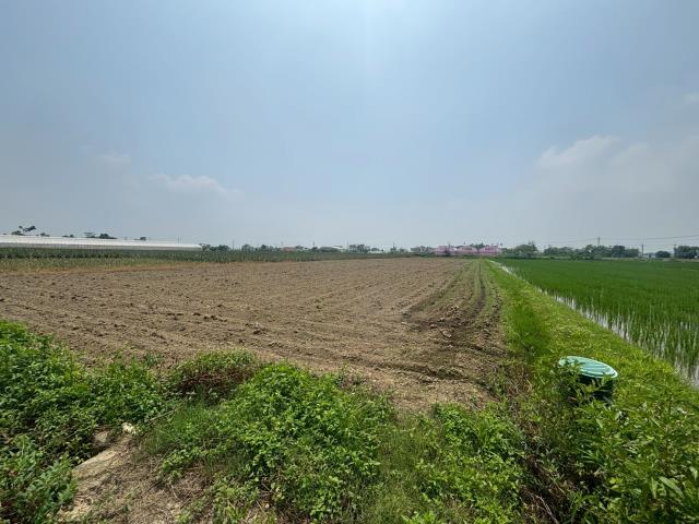 嘉義農地-4