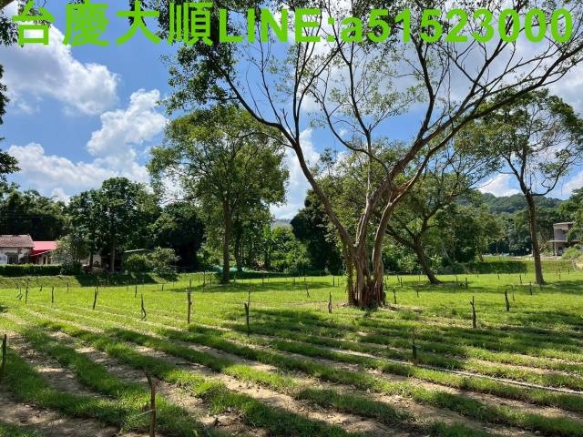 新竹農地-13
