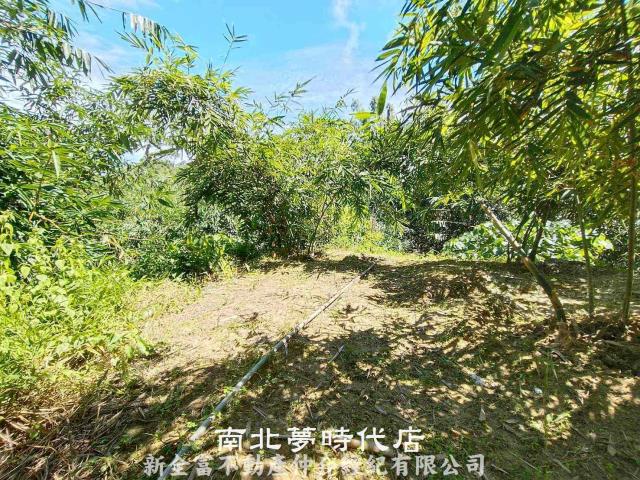 台南農地-10