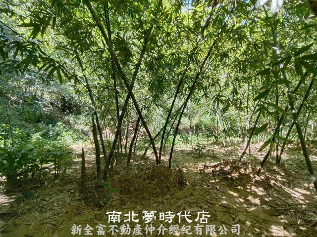 台南農地-12