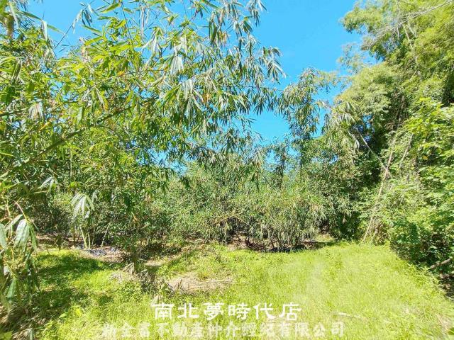 台南農地-13