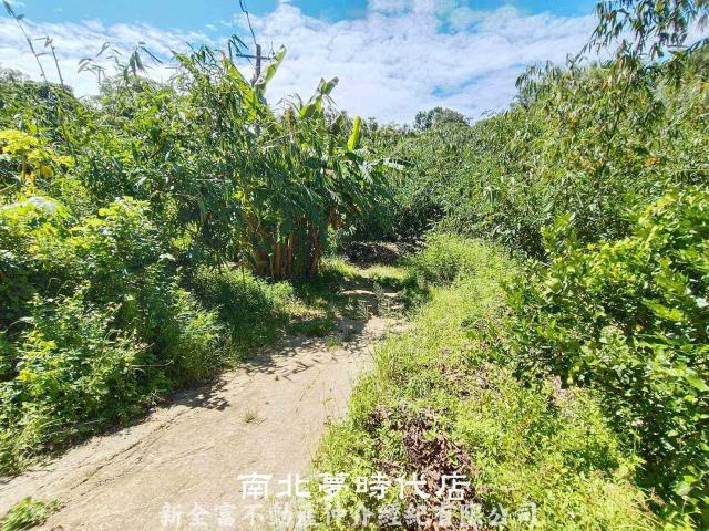 台南農地-14