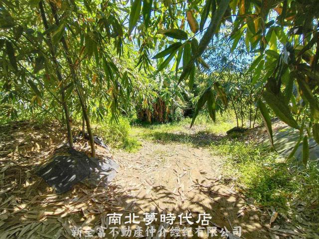 台南農地-2