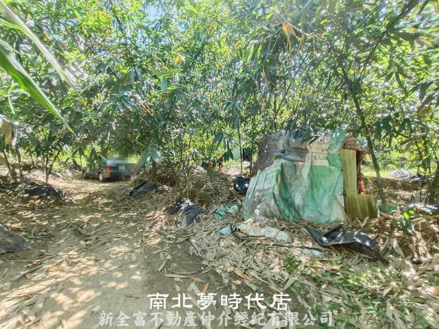 台南農地-4