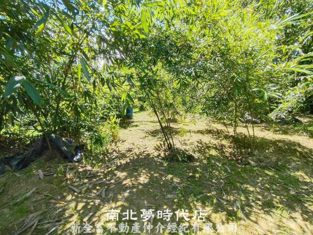 台南農地-6