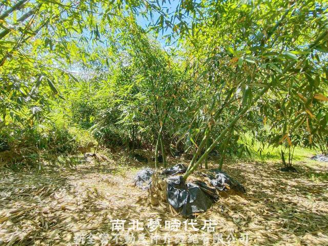 台南農地-7