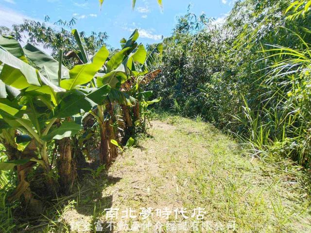 台南農地-8