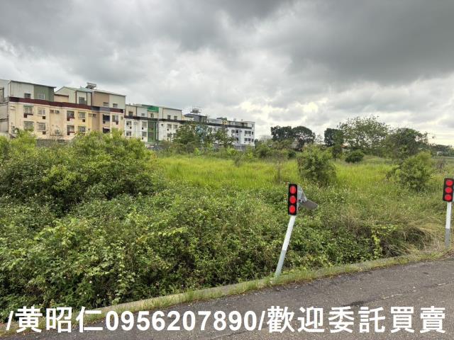 台南農地-10