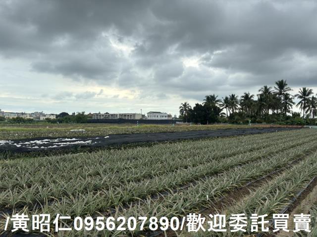 台南農地-1