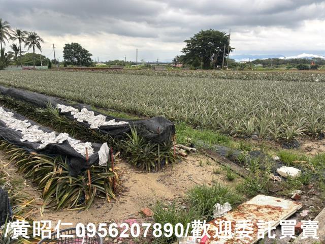 台南農地-2