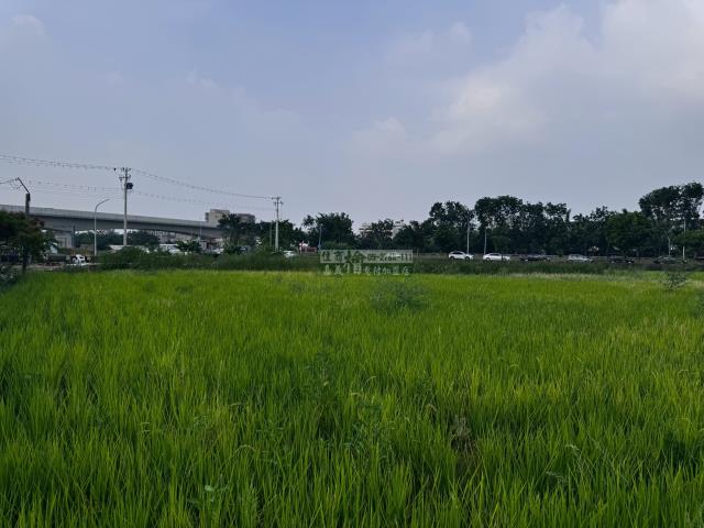 嘉義西區農地-12