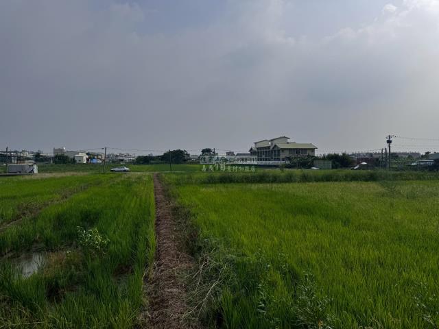 嘉義西區農地-13