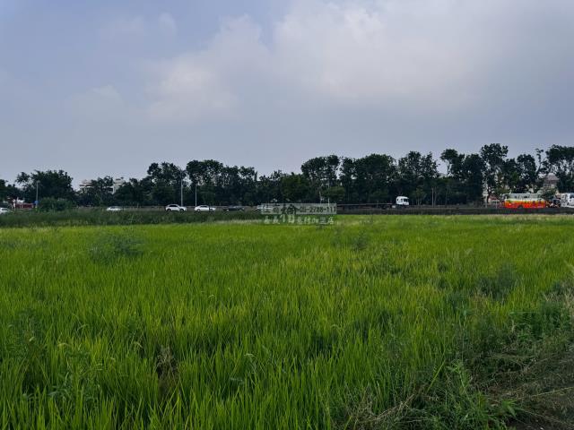 嘉義西區農地-7