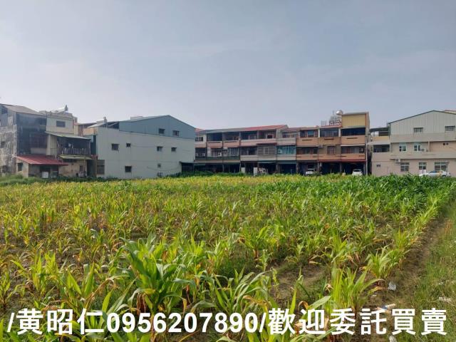 東山建地-4