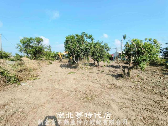 台南農地-6