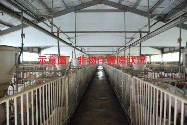 彰化北斗農地-1