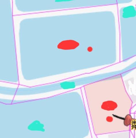 台南七股農地-11