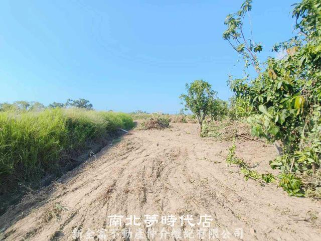 台南七股農地-4