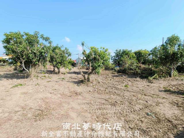 台南七股農地-5