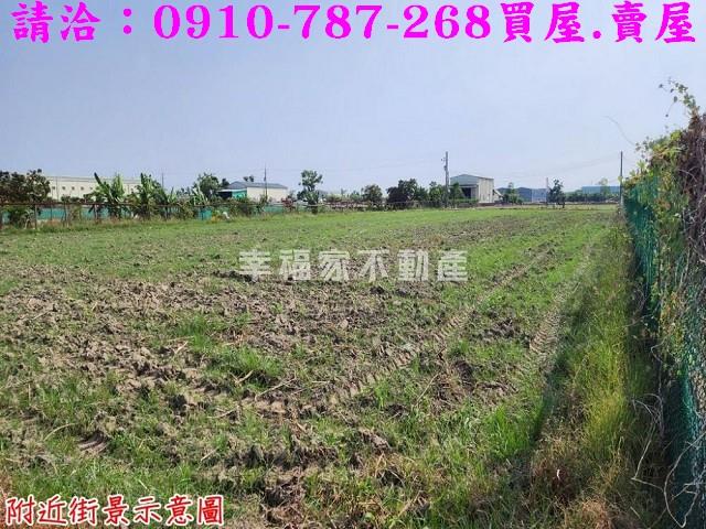 台南安定農地-10