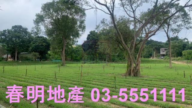 新竹關西農地-4