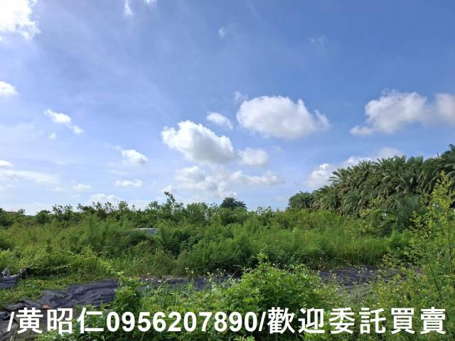 台南安南農地-7